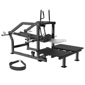 TOORX FWX 7650 Belt Squat na kotouče