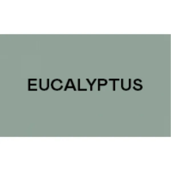 KETTLER HOI SPEED Eucalyptus