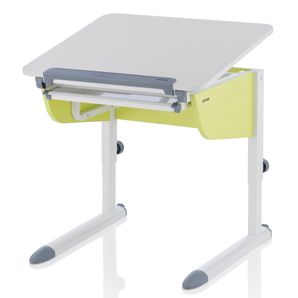 LOGO LITTLE X limetková